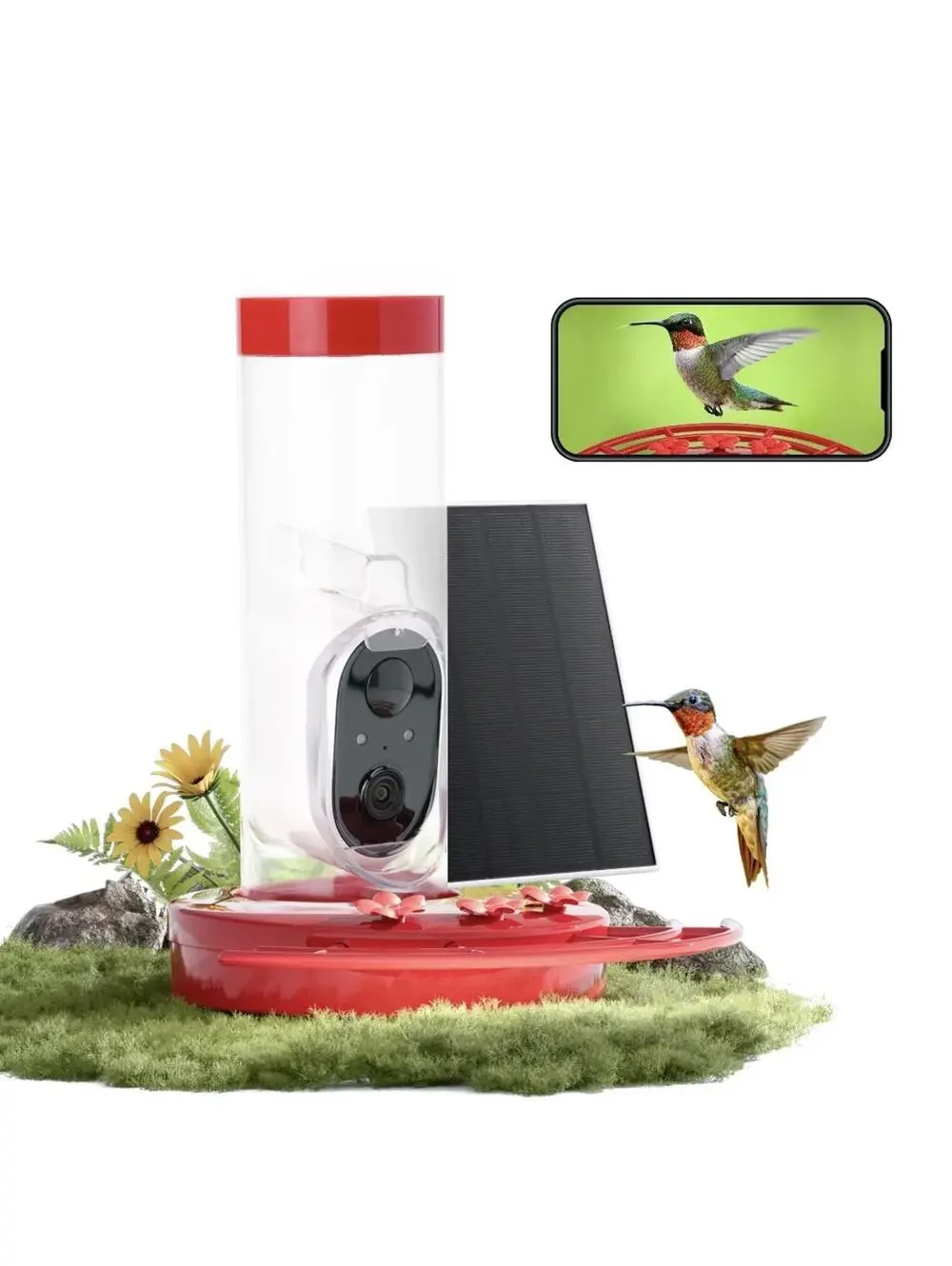 TT Nature Smart Hummingbird Feeder with Camera, Solar Powered, AI Bird ID